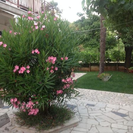 Vila Alma Poreč Exteriör bild