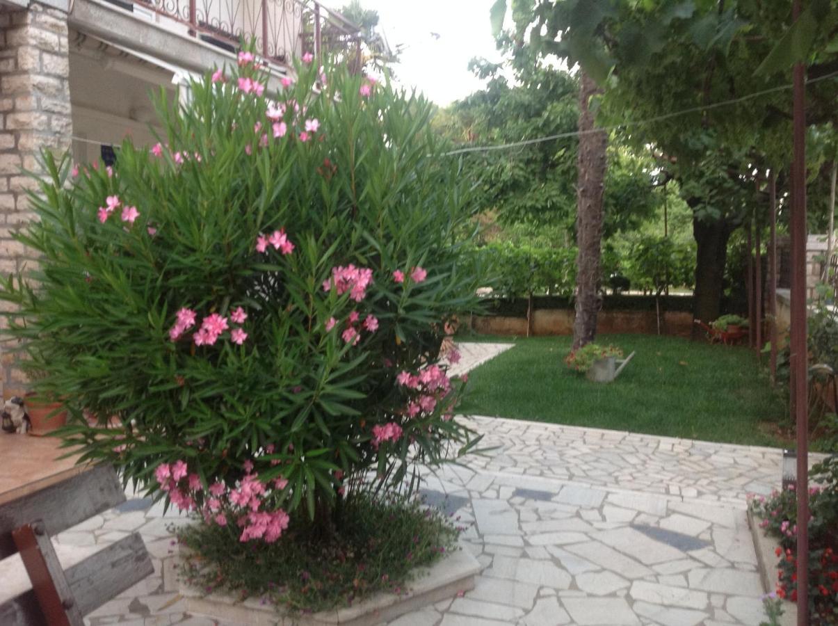 Vila Alma Poreč Exteriör bild